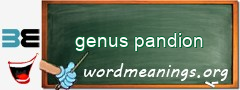 WordMeaning blackboard for genus pandion